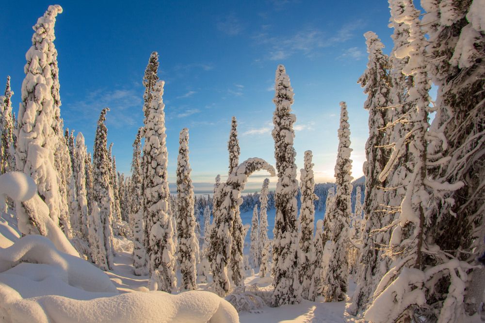 Photograph by Артём Ковалёв