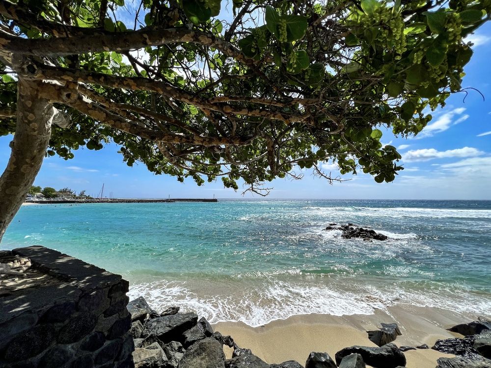 Photograph by Christine ECHEVET-ADAM de VILLIERS