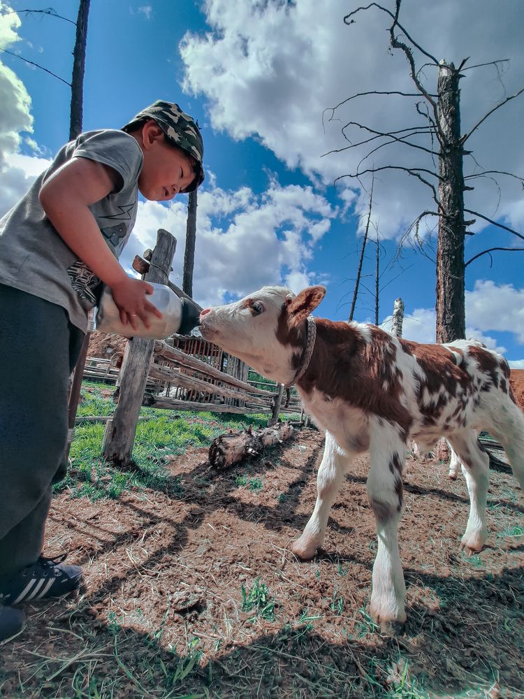 Photograph by Николай Никонов