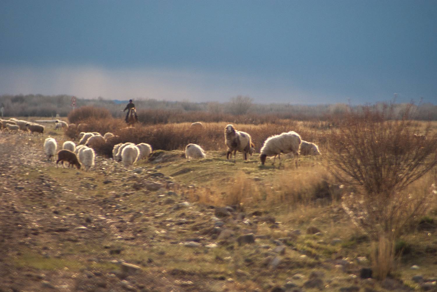 Photo #7330396