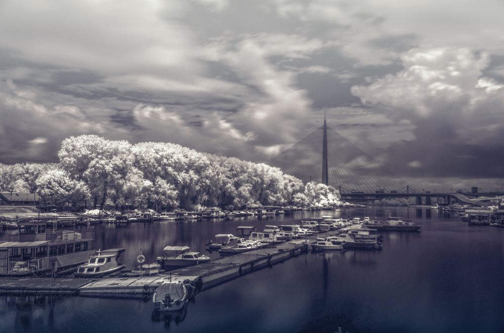 Фотография автора Dragan Cerovic