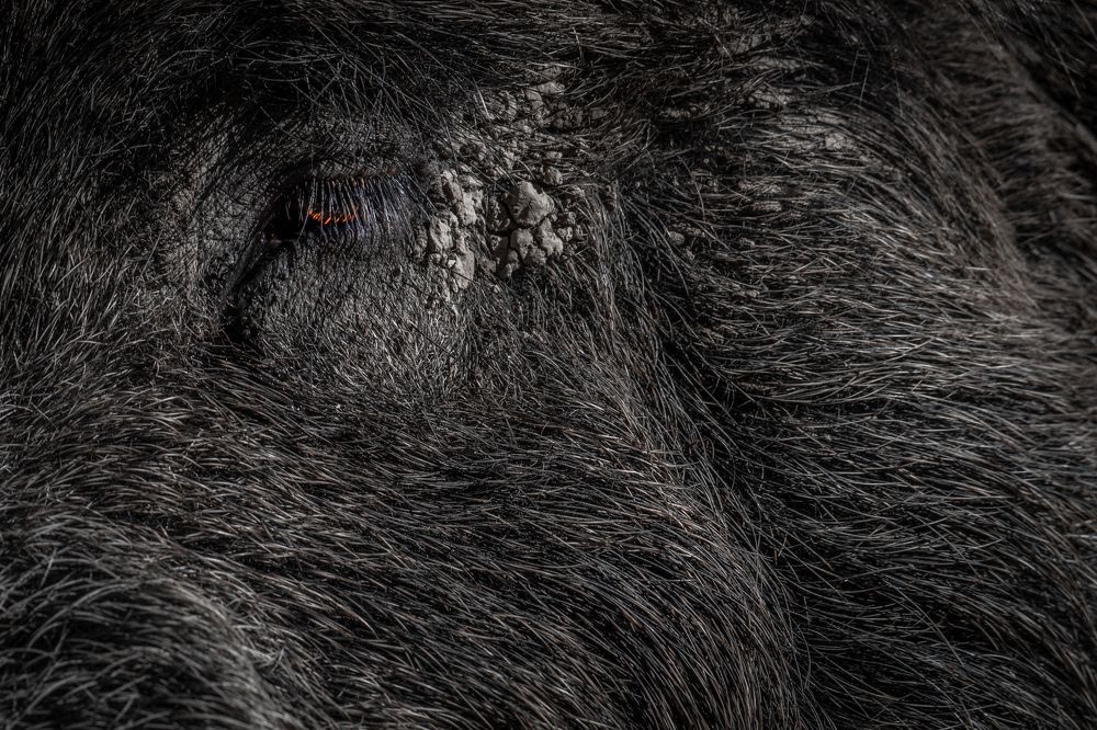 Photograph by Nereo Crnić