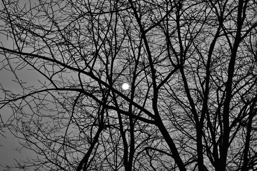 Фотография автора Моисеева Ольга