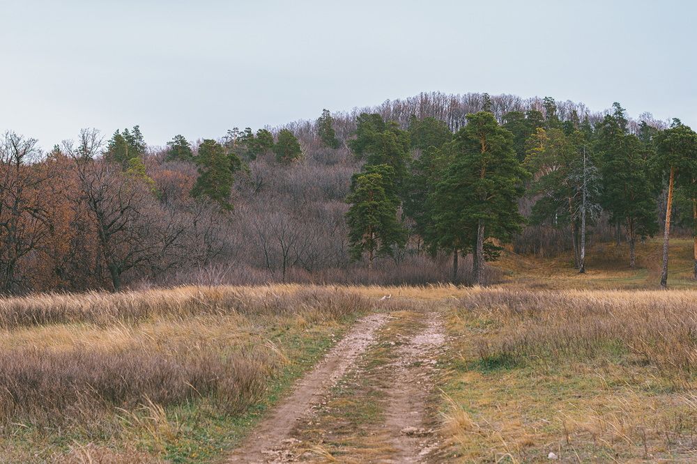 Photograph by Олег Архипов