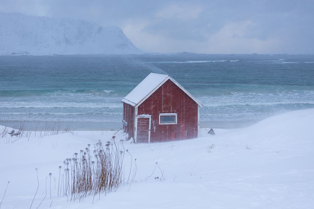 Photograph by Michael Zehnpfennig