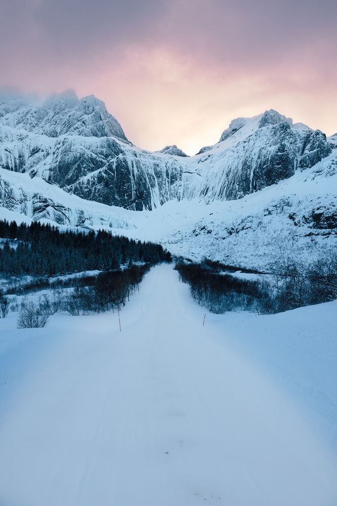 Photograph by Michael Zehnpfennig