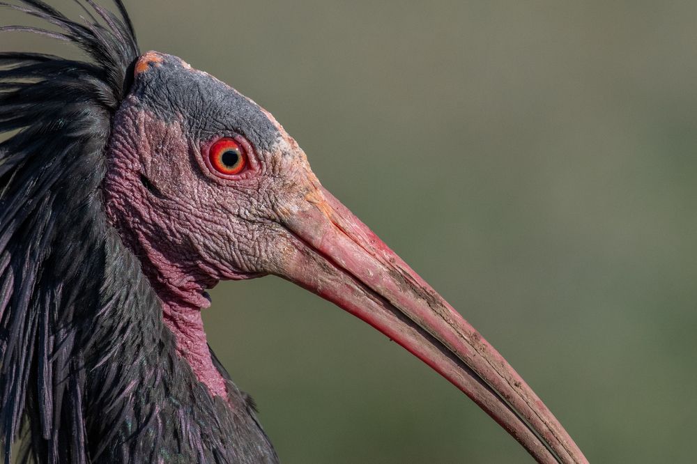 Photograph by Nereo Crnić