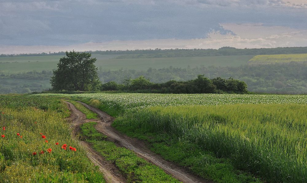 Photograph by Олег Радионов