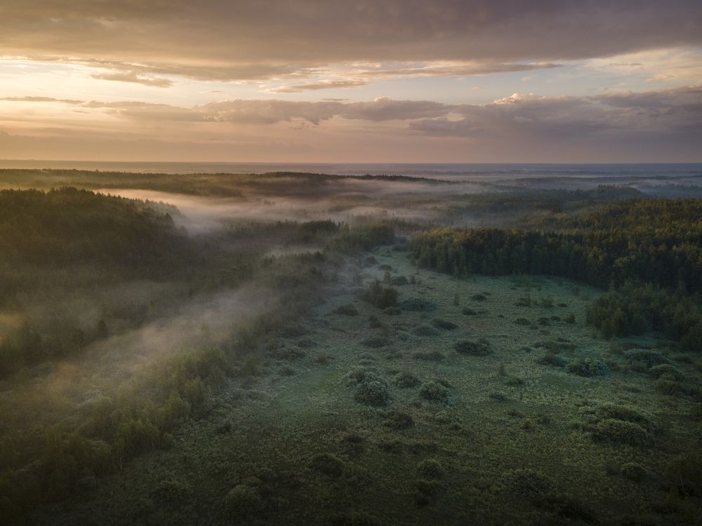 Photograph by Татьяна Борисова