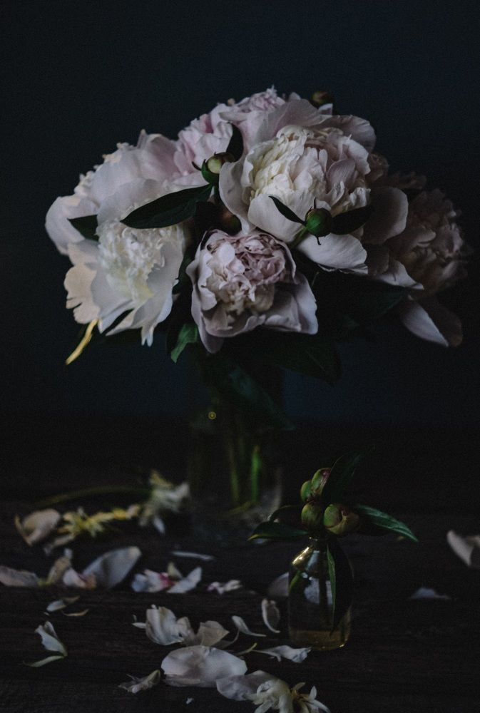 Photograph by Ксения Помогаева