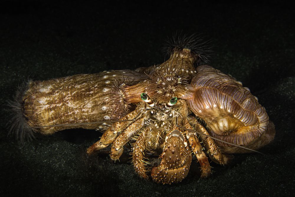 Photograph by Владимир Иваненко