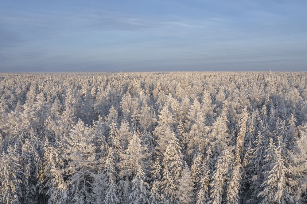 Photograph by Татьяна Борисова