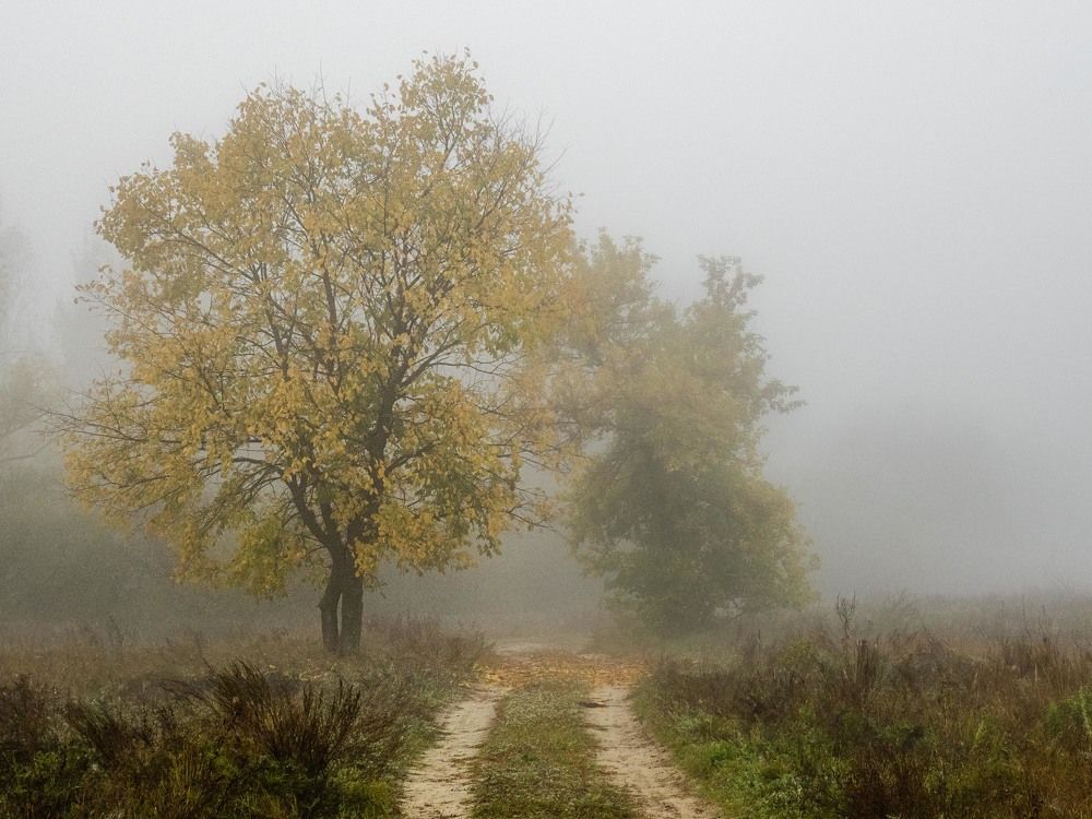 Photograph by mikhail goryachev