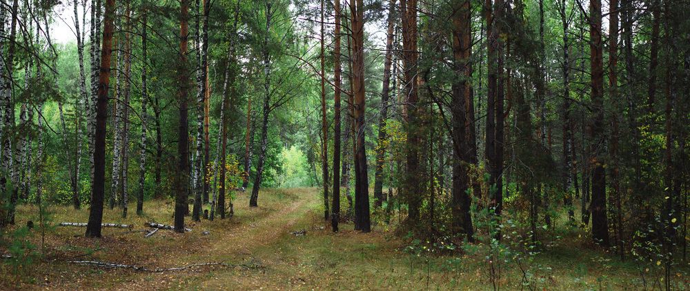 Photograph by Екатерина Саламайкина