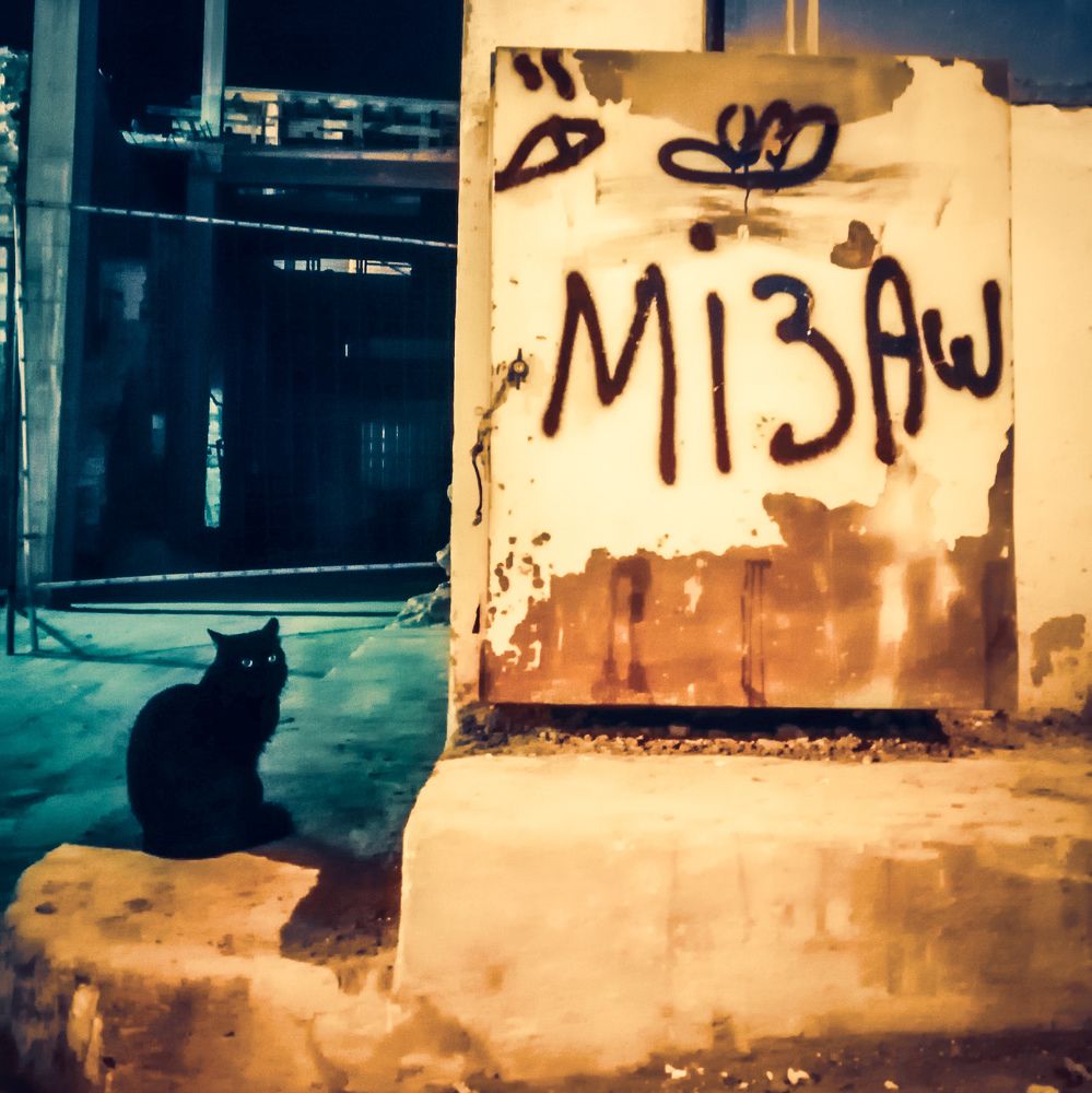 Photograph by Seif eddine Saifi