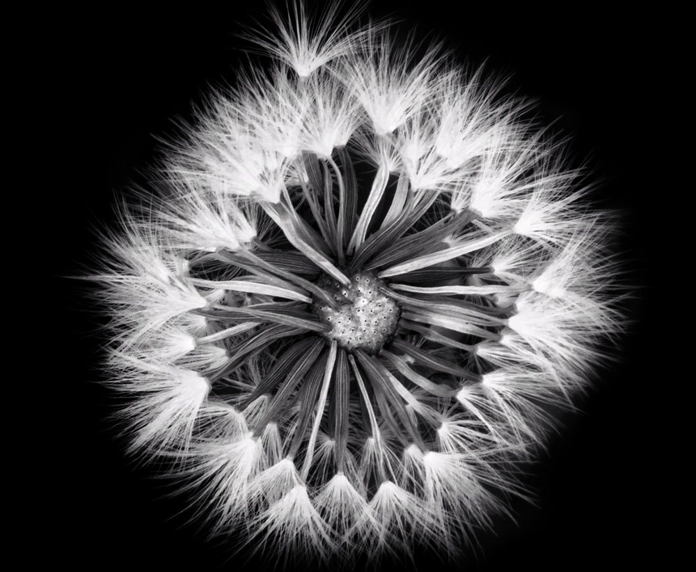 Photograph by Ana Bakic