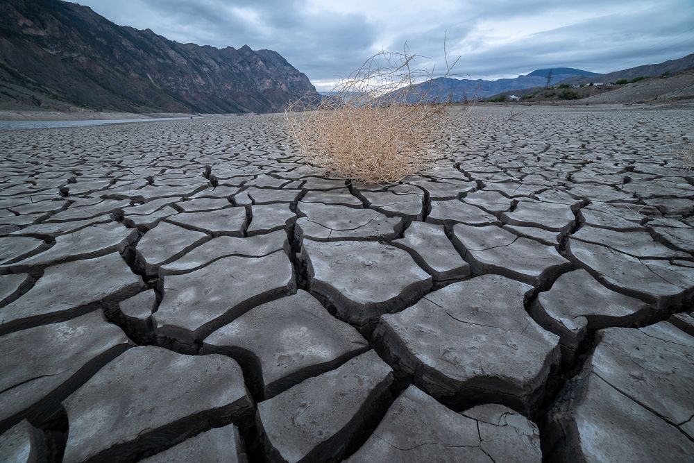 Photograph by Дмитрий Климов