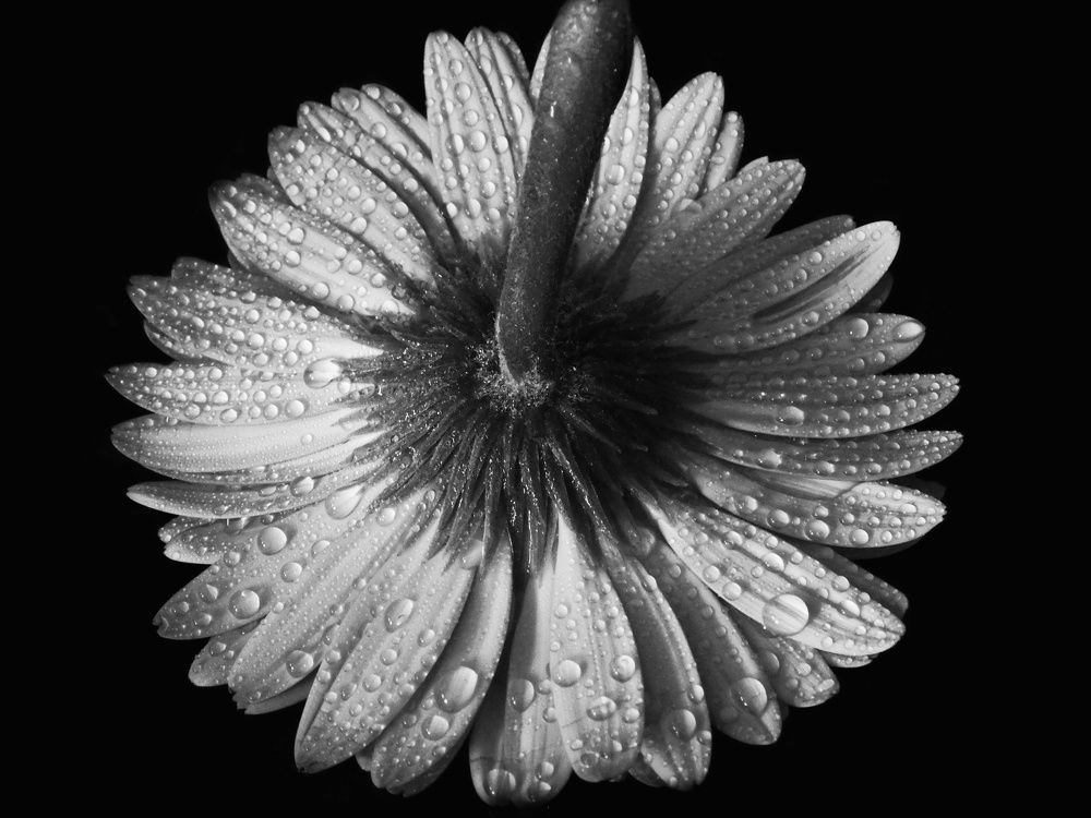 Photograph by Ana Bakic