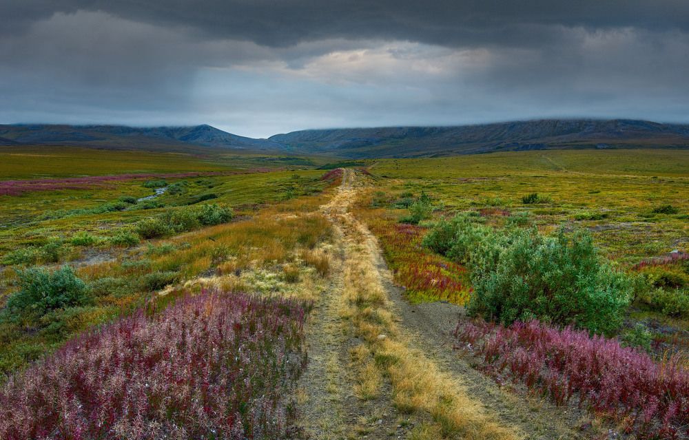 Photograph by Александр Алифанов