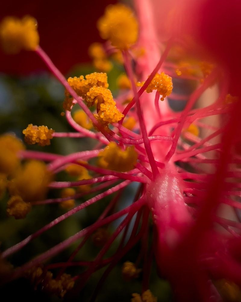 Photograph by Ramya Balkur