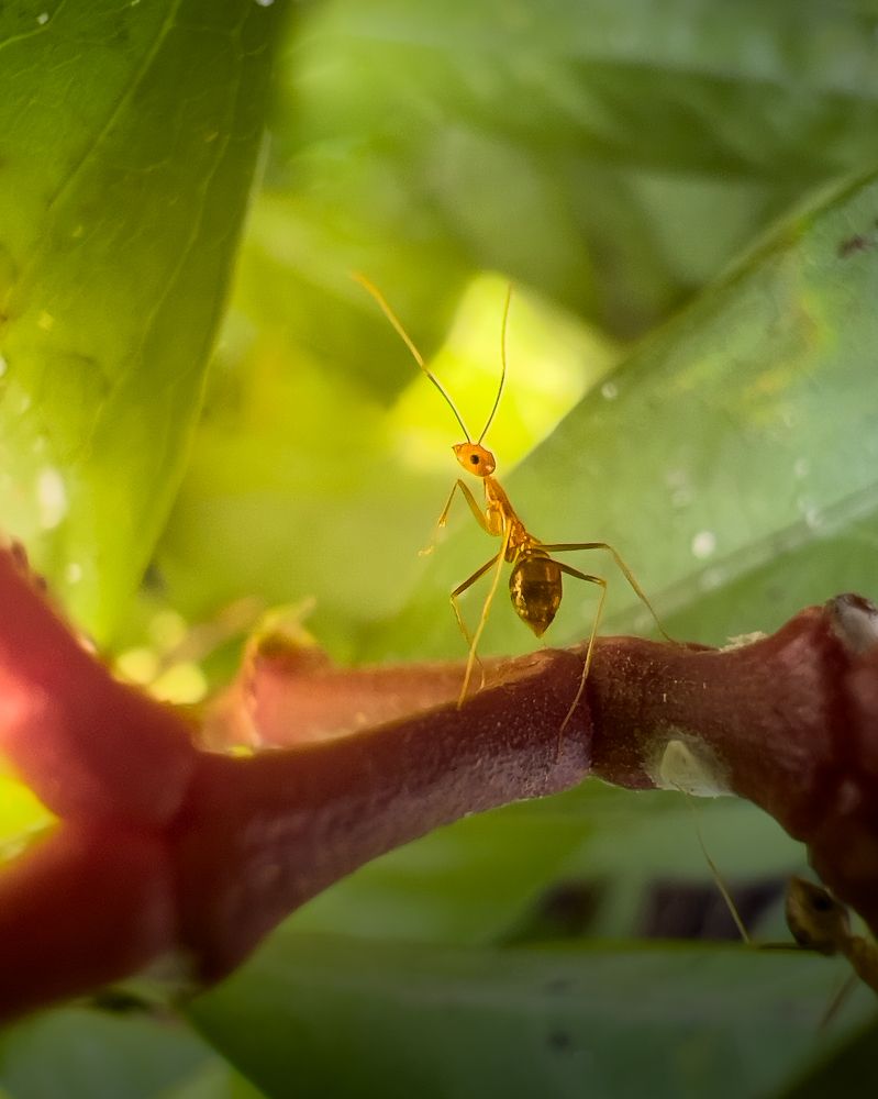 Photograph by Ramya Balkur