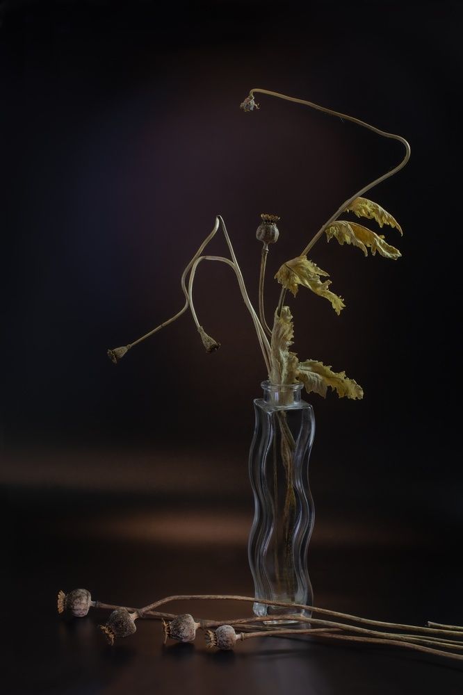 Фотография автора Черновол Валентин