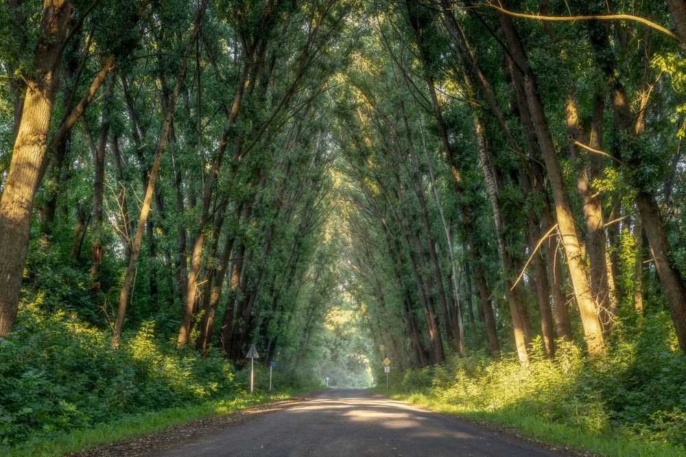 Фотография автора Хрипушин Александр