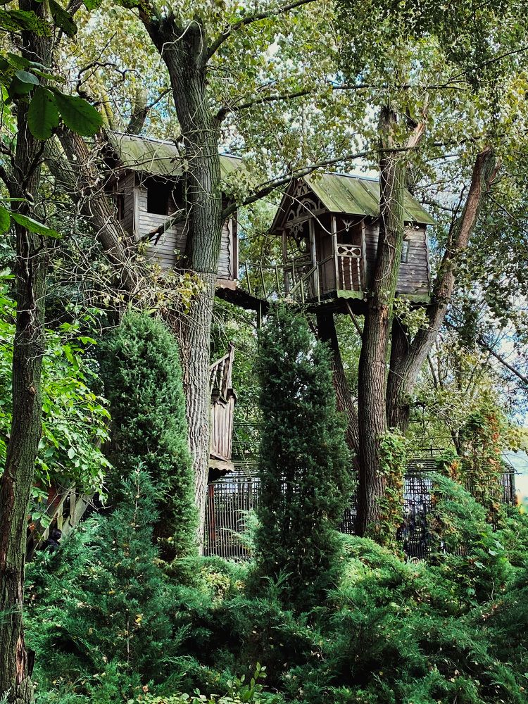 Photograph by Косяченко Светлана