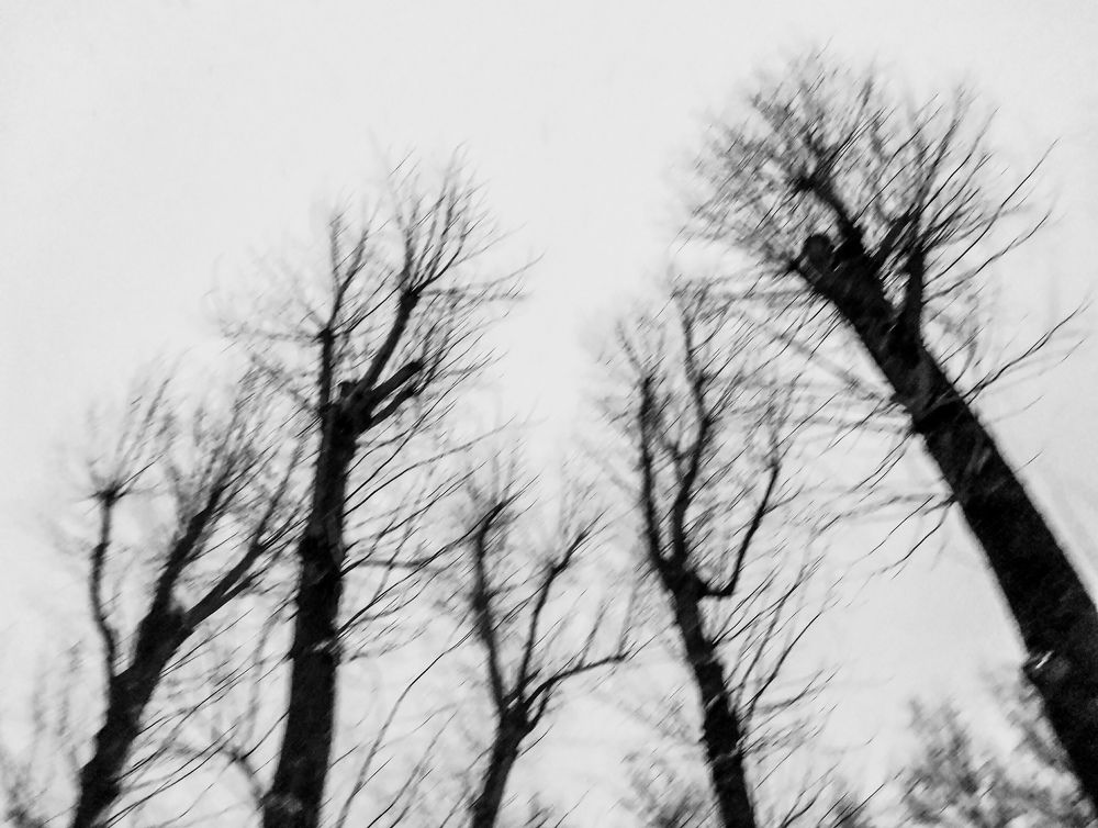 Photograph by Власова Ольга Николаевна