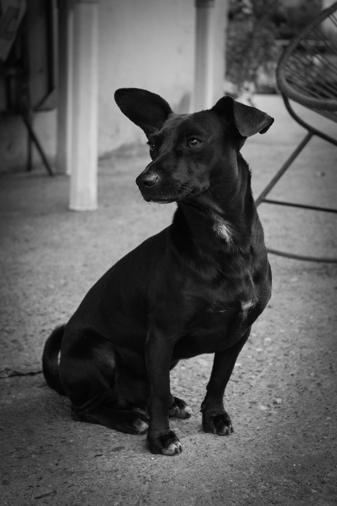 Photograph by Carlos Angel Ramirez Alarcon