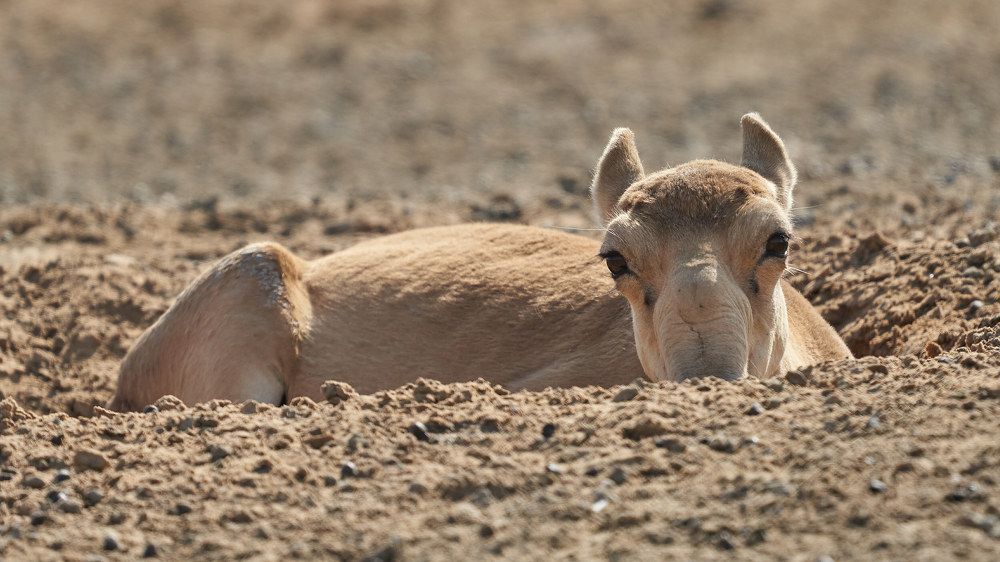 Photograph by Victor Krachkovsky