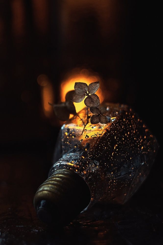 Photograph by Наталья Шленкина