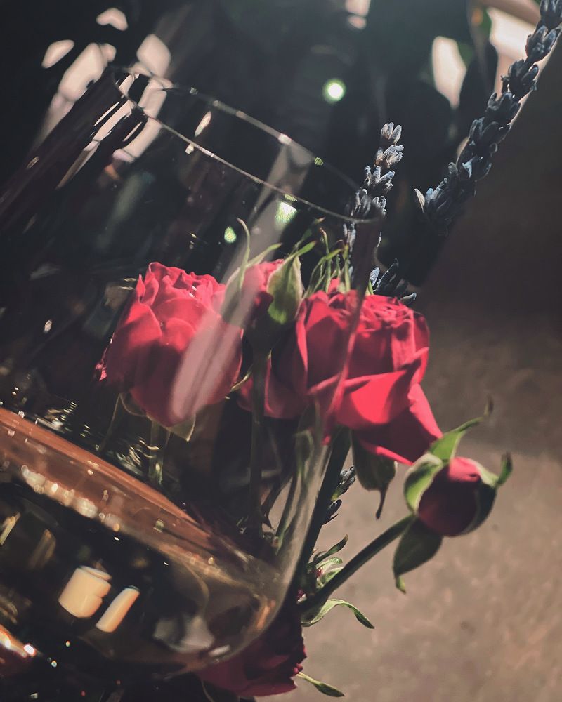 Photograph by Masha Morozova