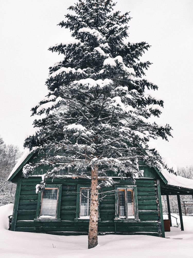 Photograph by Власова Ольга Николаевна