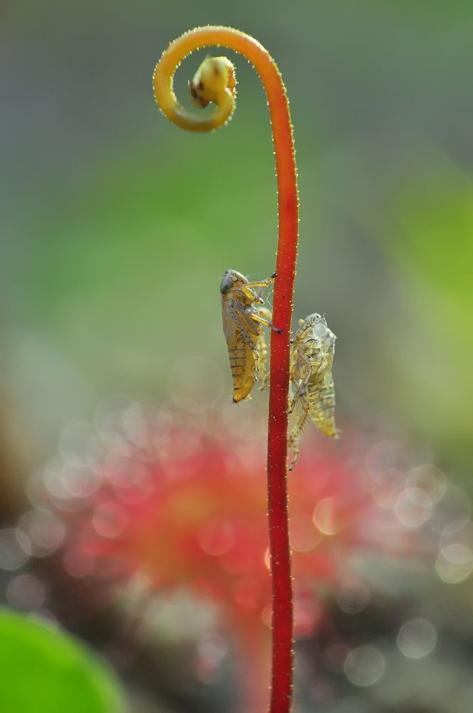 Photograph by НиКоЛаЙ