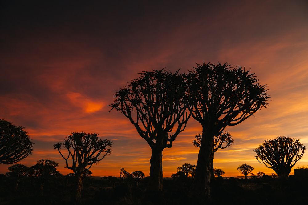 Photograph by Aleksandr L