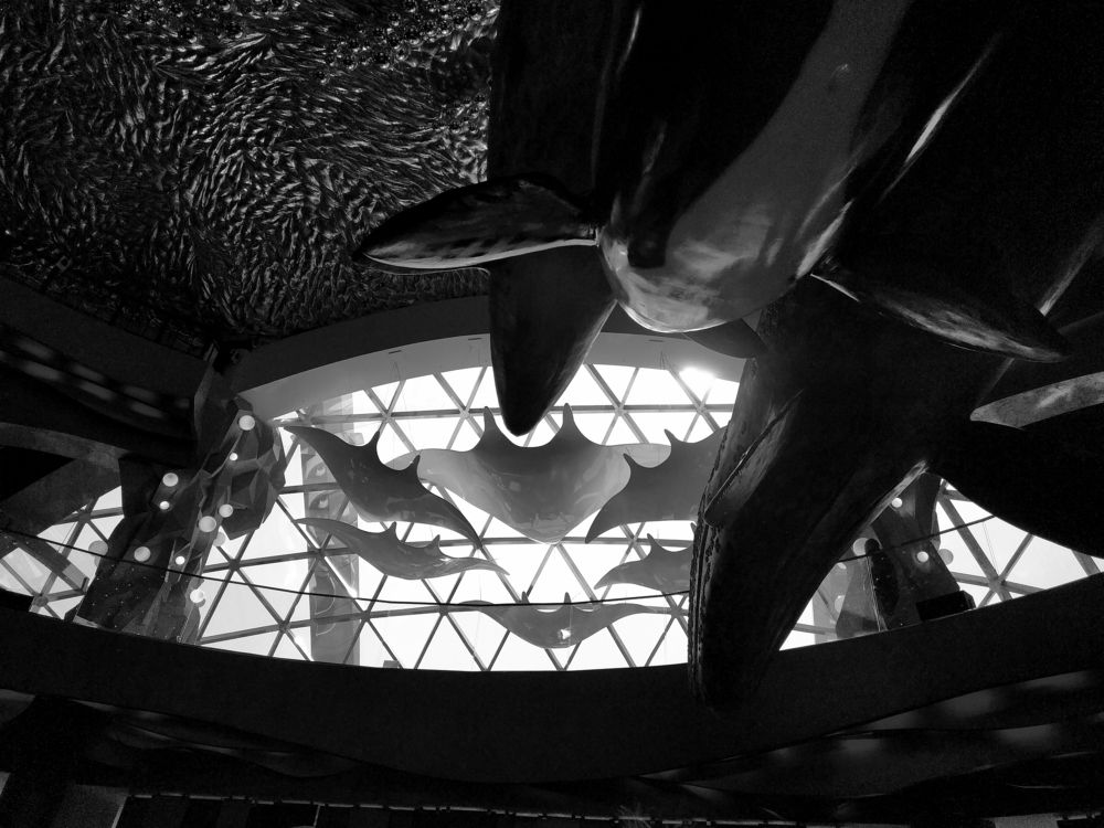 Внутренний мир