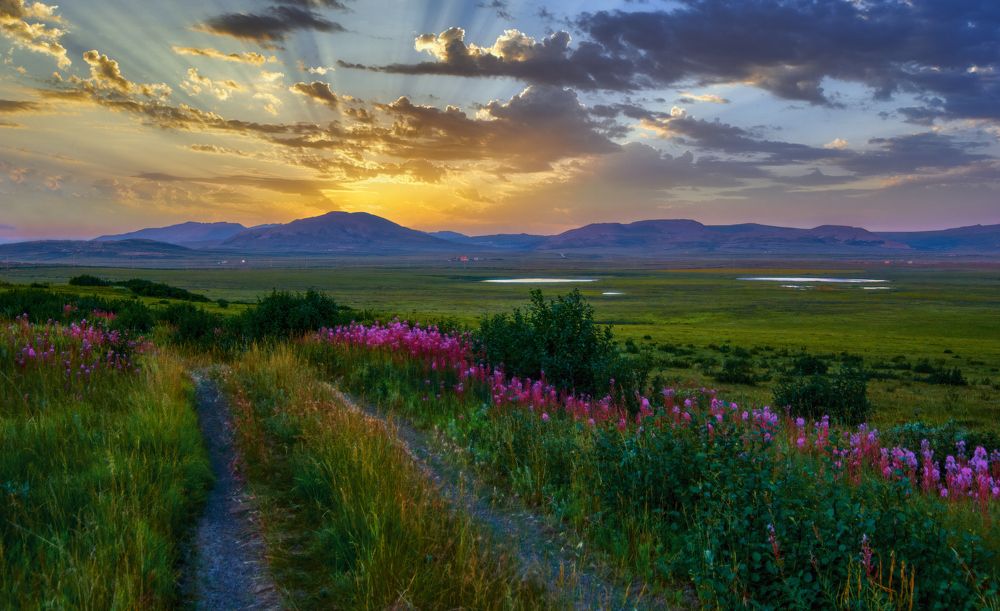 Photograph by Александр Алифанов