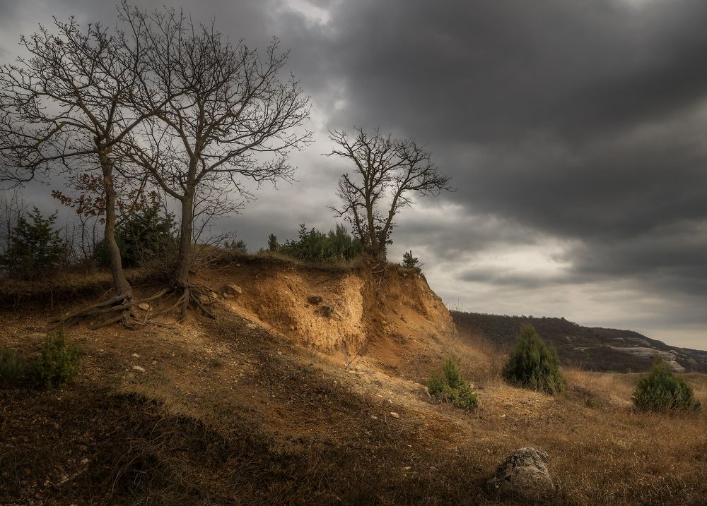 Photograph by Сергей Черкасов