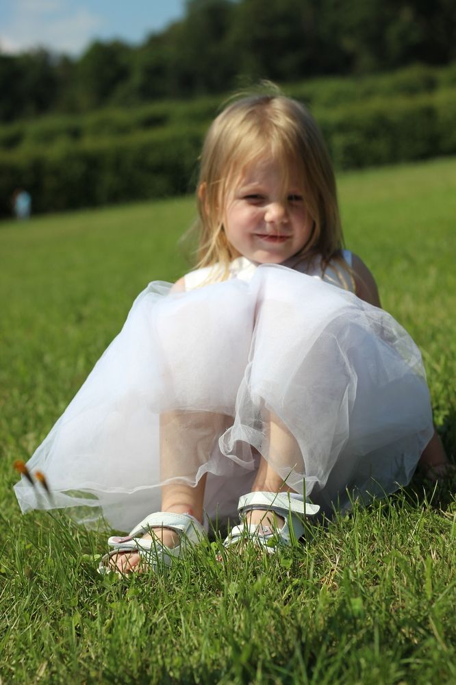 Photograph by Александр Лямцев