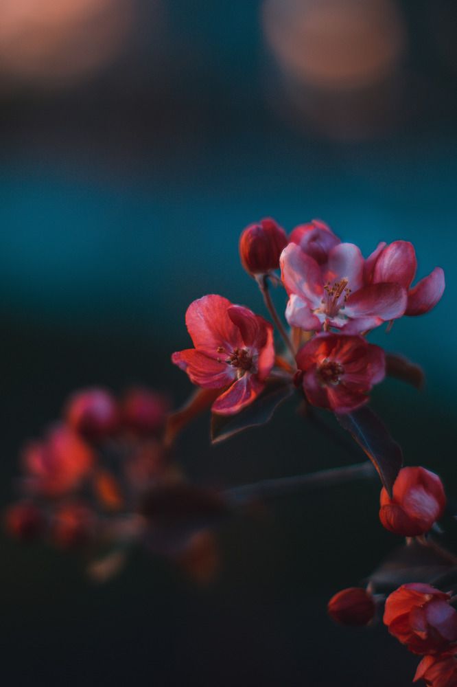 Photograph by Виктория Михайлова