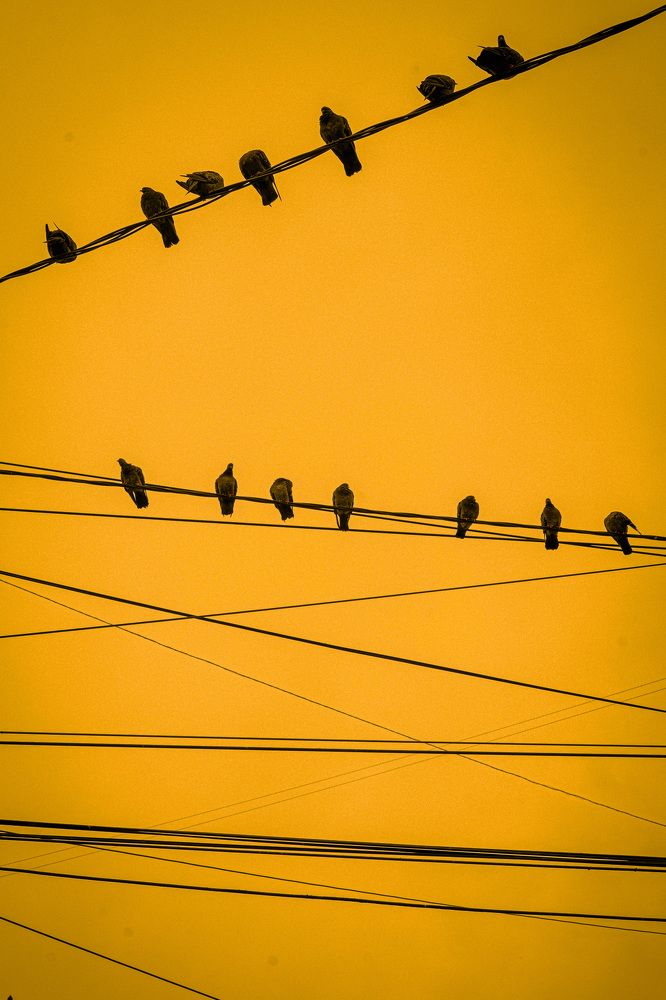 Photograph by Анна Силютина