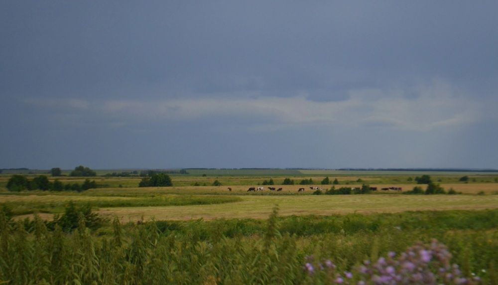 Photograph by Ляйсан