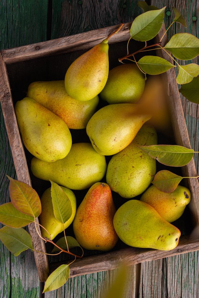 Photograph by Руфина Сурутдинова