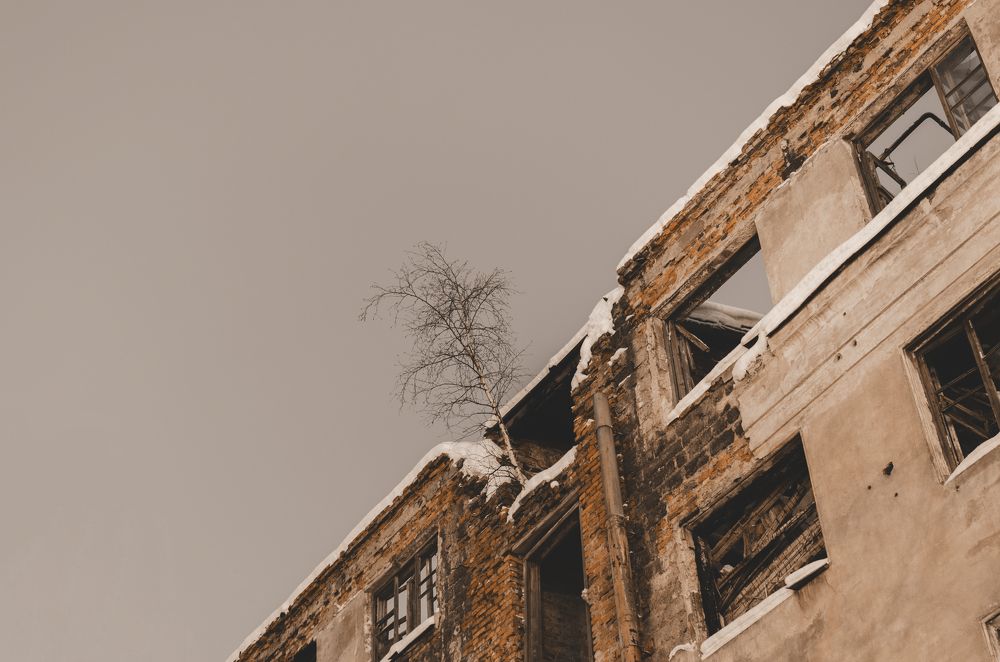 Photograph by Алексей Гемаксон