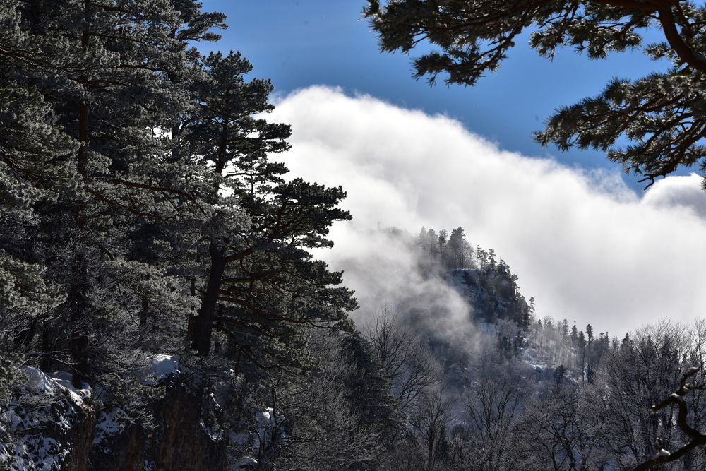 Photograph by Алексей Черкашин