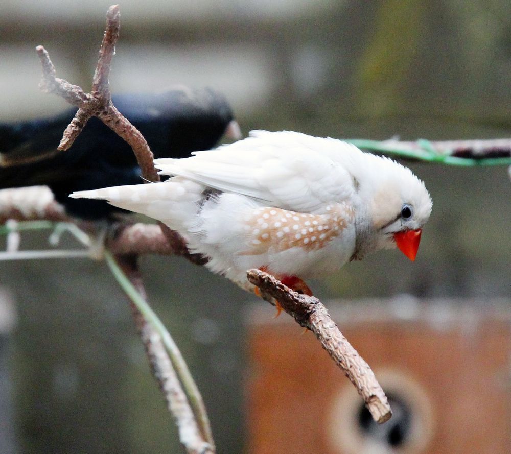 Photograph by Александр Бугаенко