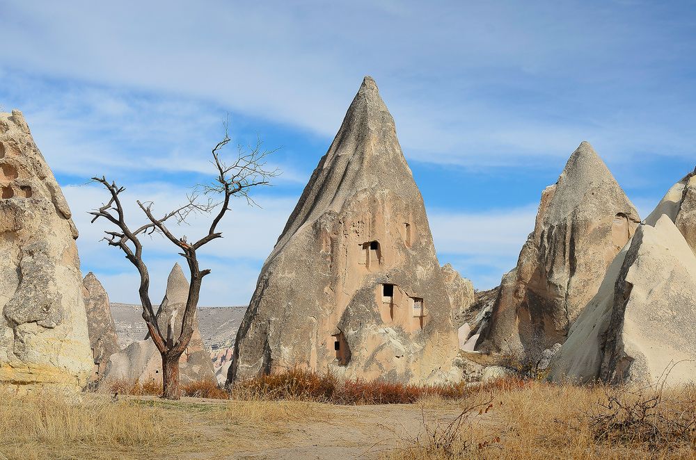 Photograph by Viktor Korotnev