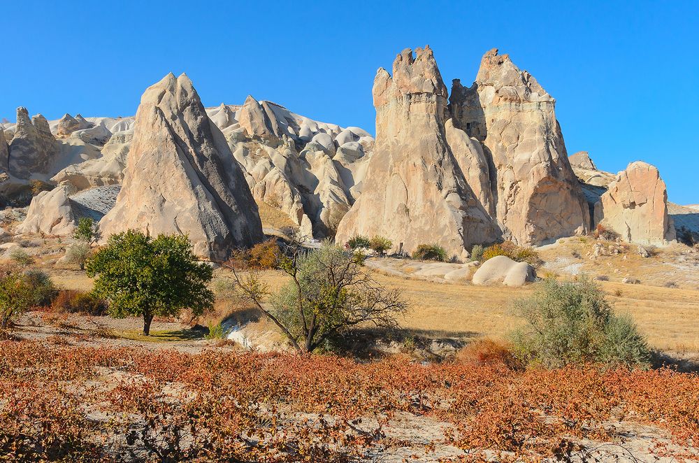 Photograph by Viktor Korotnev