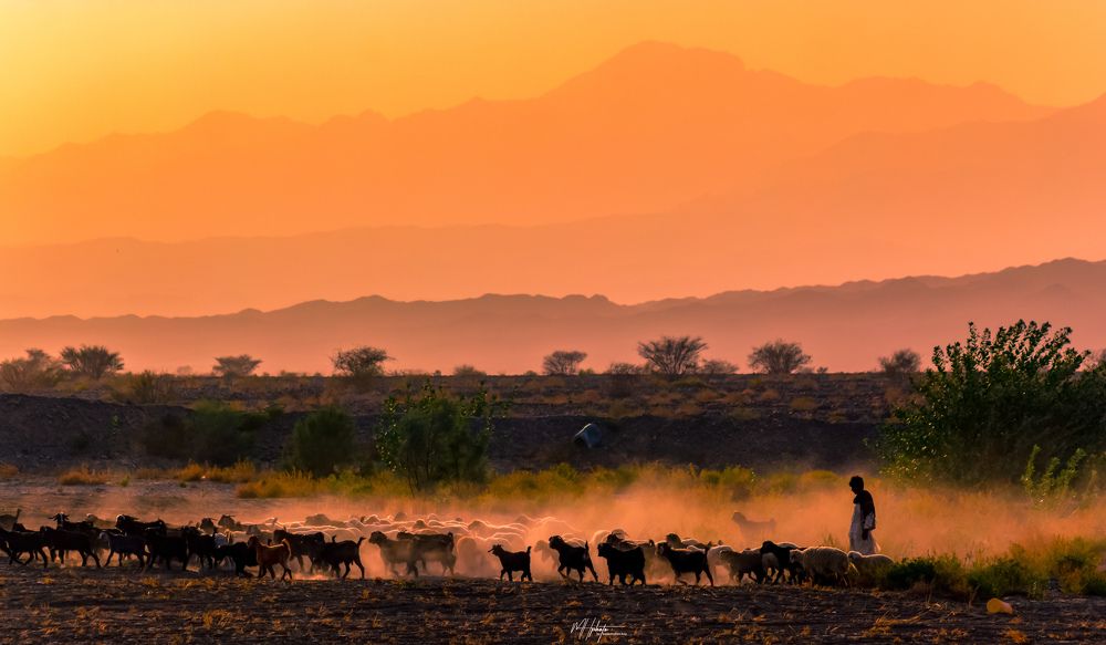 Photograph by Murad Hasil